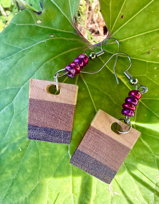 Two rectangular drop earrings featuring three horizontal wood-patterned stripes in light tan, medium brown, and dark charcoal. Each earring hangs from a silver-coated metal ear hook with small pink and purple glass bead accents. The earrings are displayed against a green leaf background.