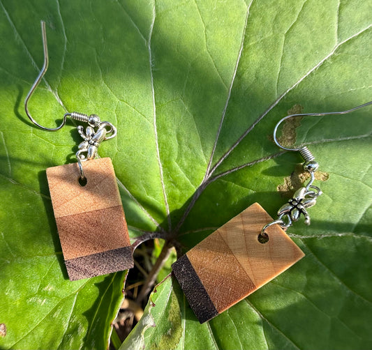 Two rectangular drop earrings featuring three horizontal wood-patterned stripes in light tan, medium brown, and dark charcoal. Each earring hangs from a silver-coated metal ear hook with a small silver-coated metal dragonfly bead. The earrings are displayed against a green leaf background.